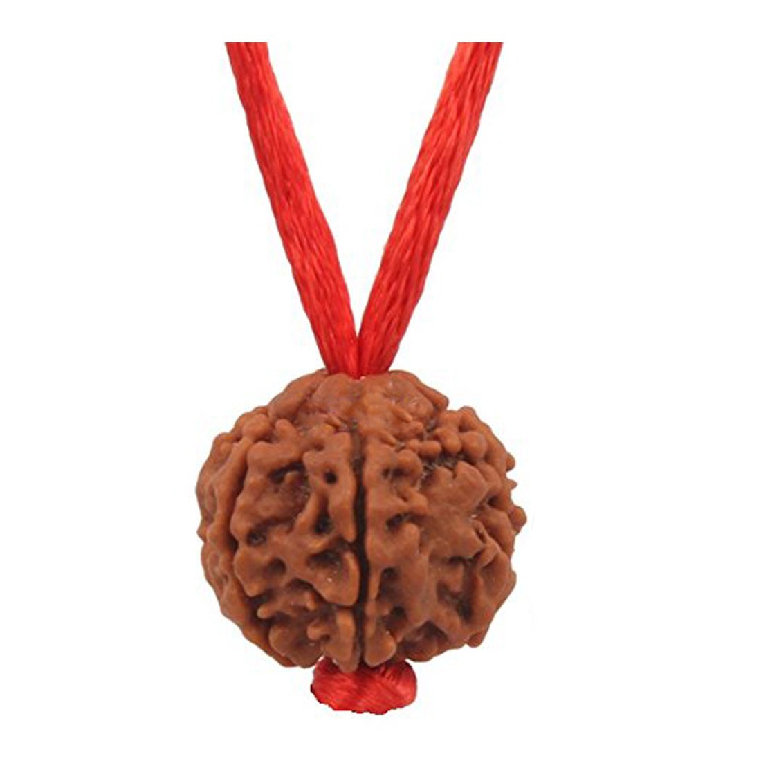 Rudraksha Pendant 4 Mukhi/Four Faced Round Red Thread Beads