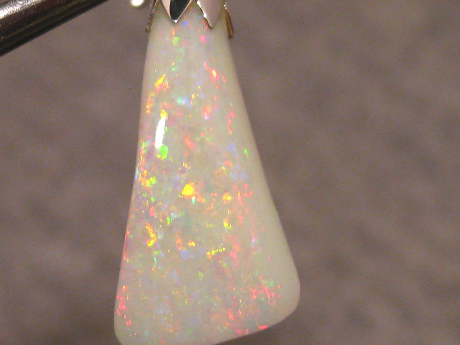 3.7 ct. Shell Opal Pendant – Solid Australian Gem Opal – Sterling Silver