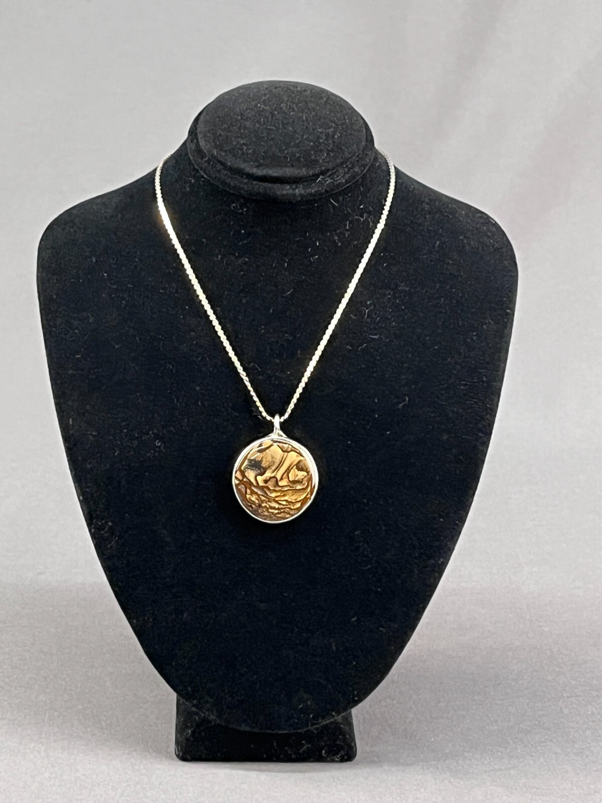 Biggs Picture Jasper Sterling Silver Pendant 18″ Necklace (J)
