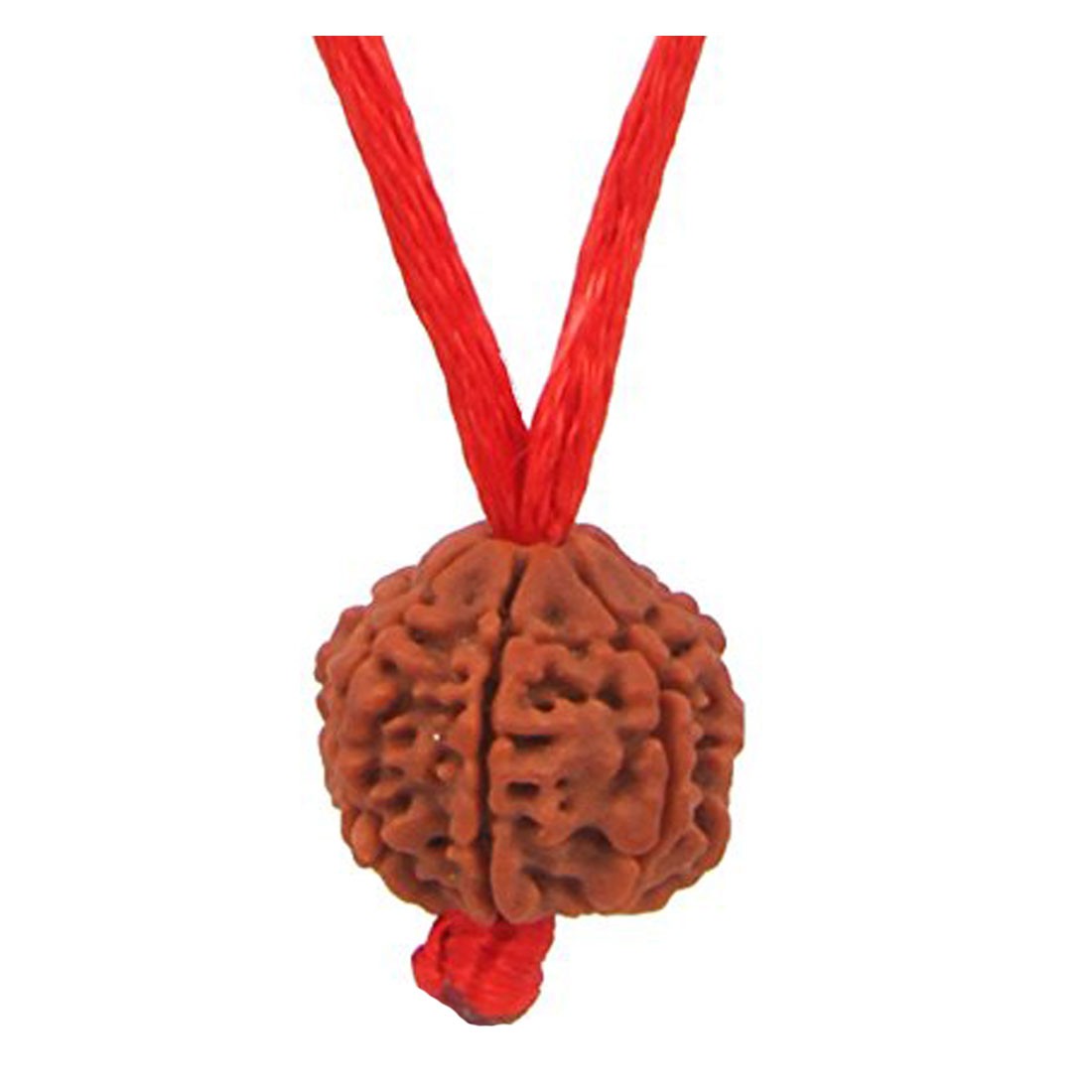Rudraksha Pendant 6 Mukhi/Six Faced Round Thread For Woman