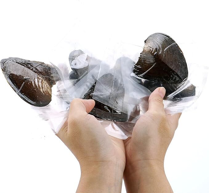 50PCS Natural Oysters 7-8mm Vacuum Pack Real Pearl Freshwater Individually Gift*