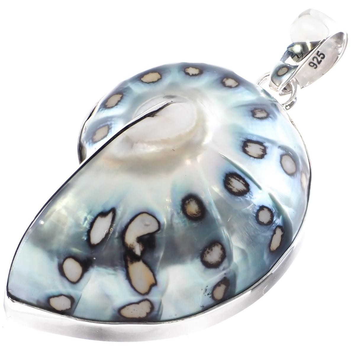 925 Sterling Silver Paisley Batik Polish Nautilus Shell In Sterling Pendant, 2″