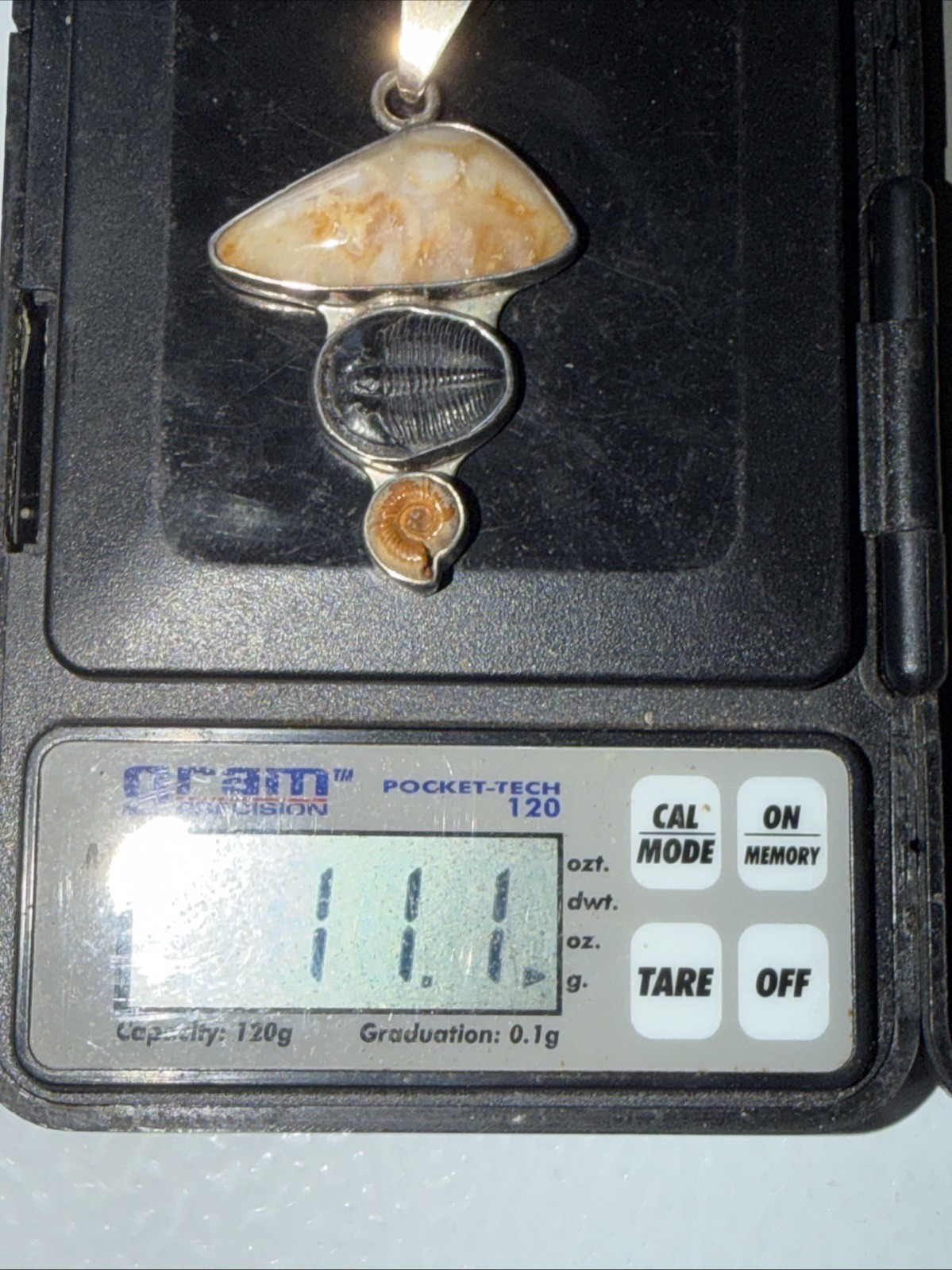 Charles Albert Fine Sterling Rare Multiple Fossil Pendant
