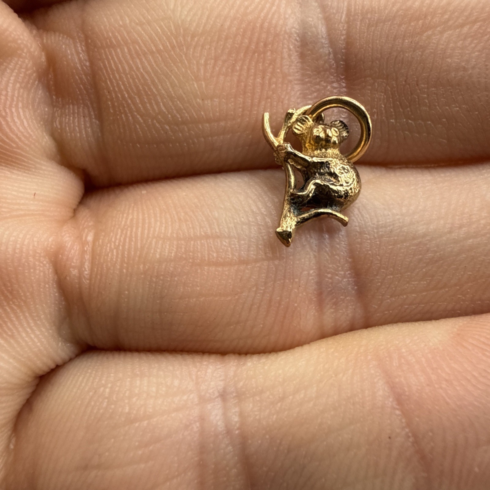 SOLID 9K 9ct YELLOW GOLD 3D KOALA on BRANCH AUSTRALIAN ANIMAL Charm/Pendant